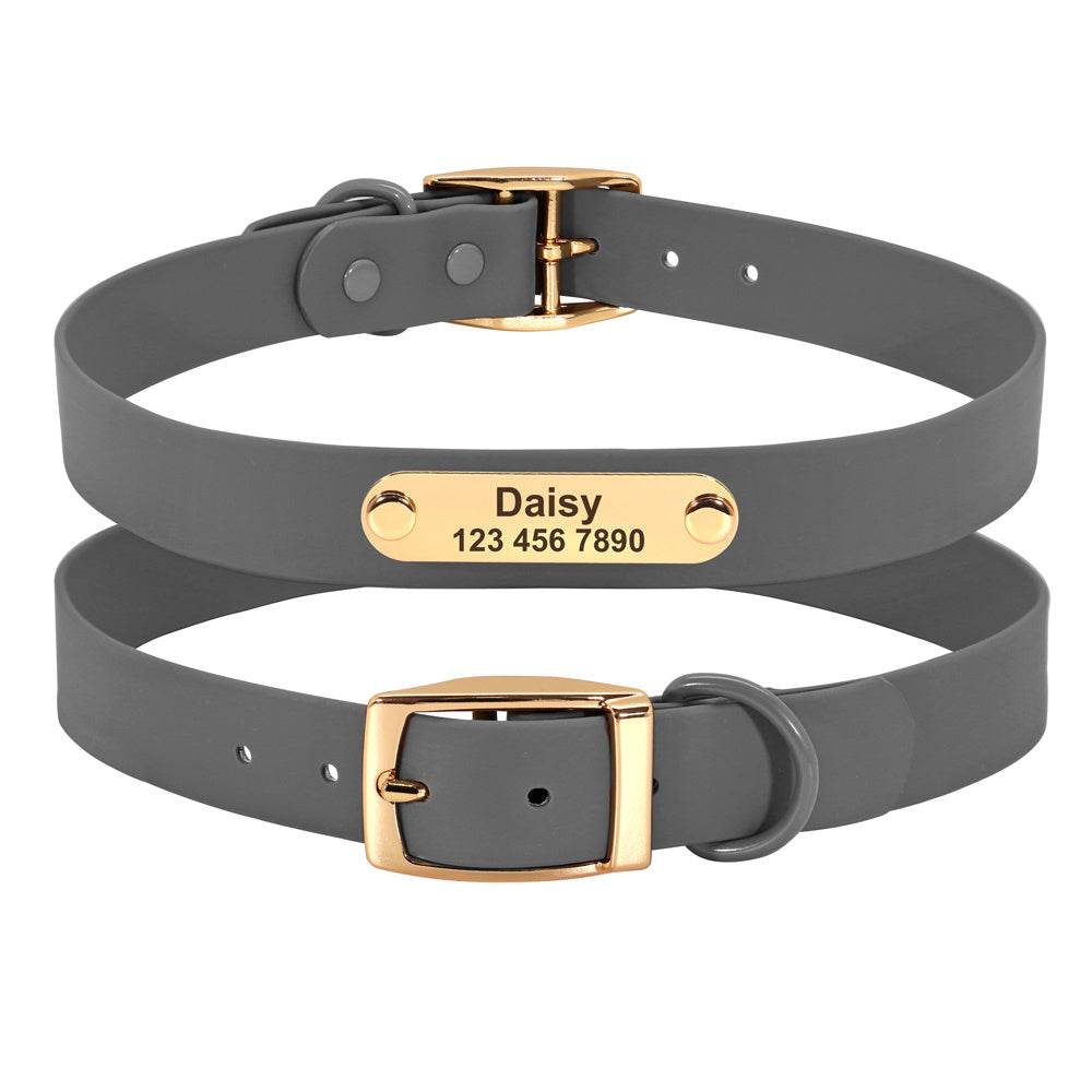 Collar Leash Medium Dog Teddy - P12 Hub Europe