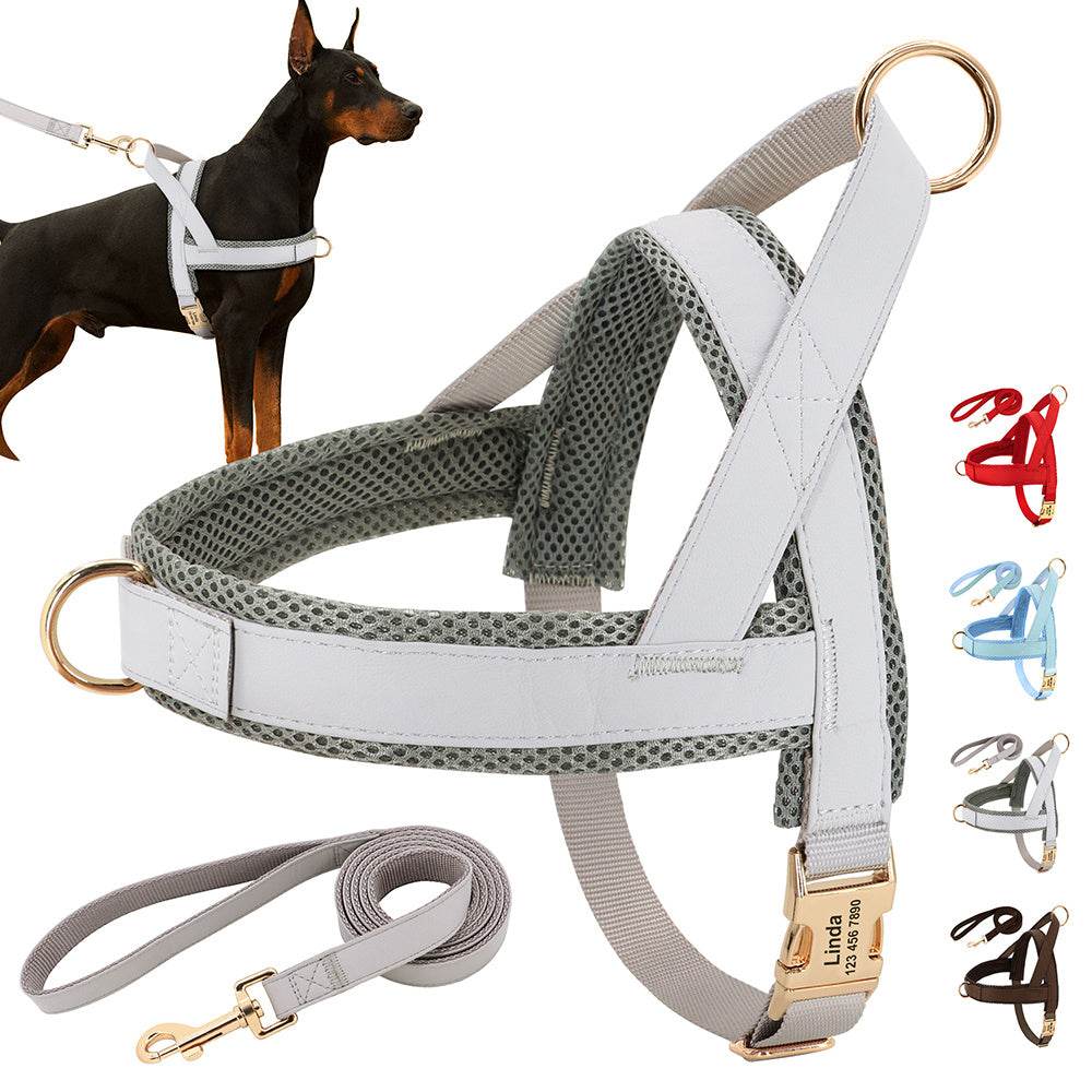 Personalized Dog Harness Leash Set - P12 Hub Europe