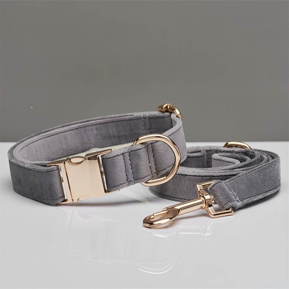 Mint Green Dog Collar Leash - P12 Hub Europe