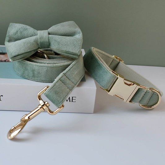 Mint Green Dog Collar Leash - P12 Hub Europe