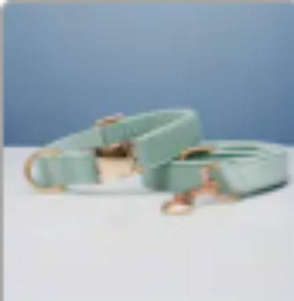 Multiple Colour Velvet Personalise Dog Collar Leash Set With Bow - P12 Hub Europe