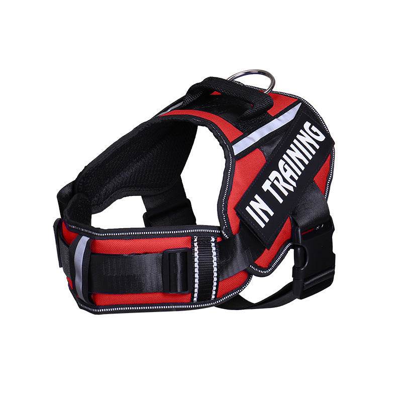 Reflective Dog Leash For Chest Harness Customization - P12 Hub Europe