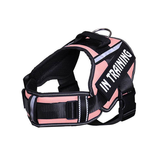 Reflective Dog Leash For Chest Harness Customization - P12 Hub Europe