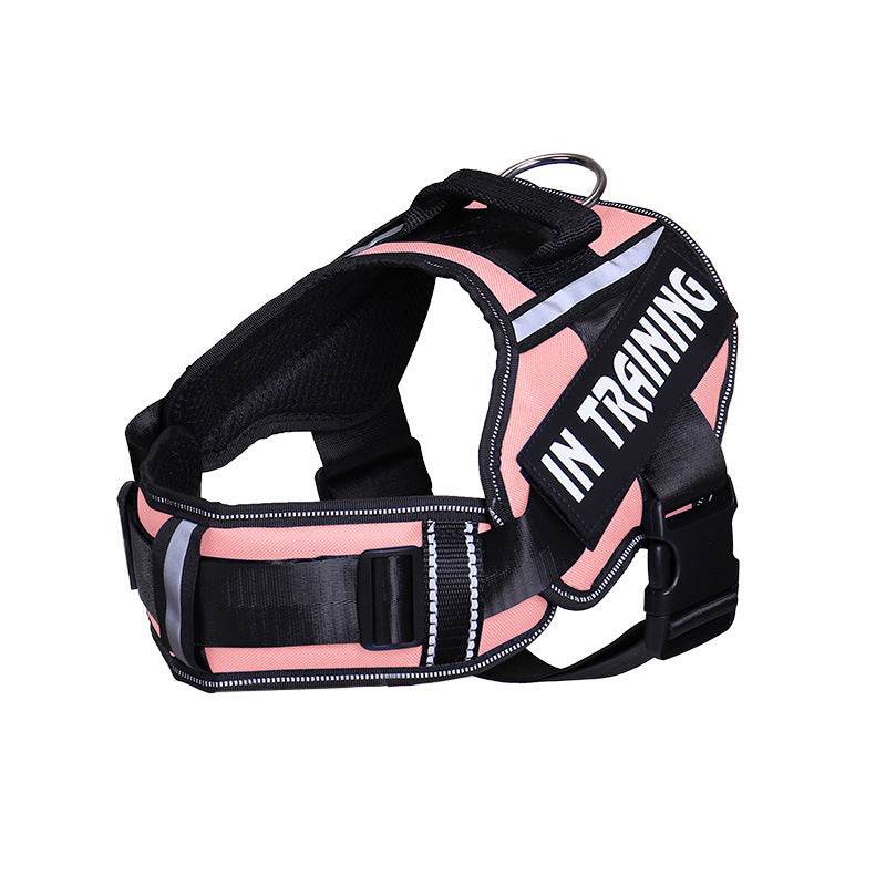 Reflective Dog Leash For Chest Harness Customization - P12 Hub Europe