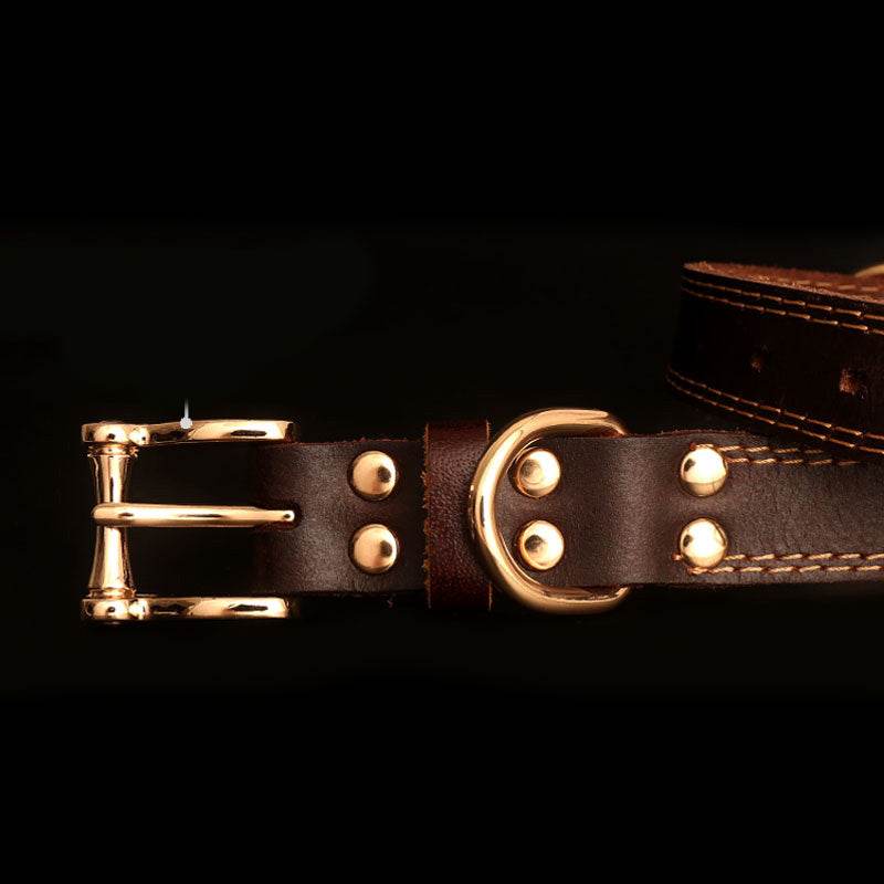 Genuine Leather Dog Collars with Engraved Nameplate - P12 Hub Europe