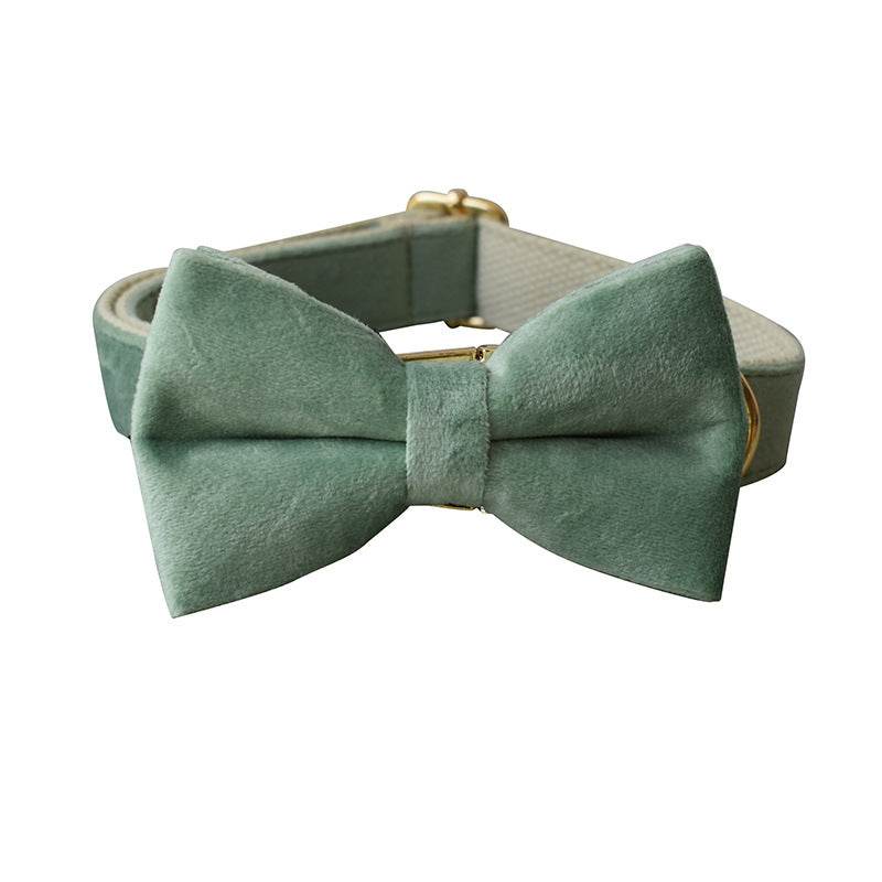 Mint Green Dog Collar Leash - P12 Hub Europe