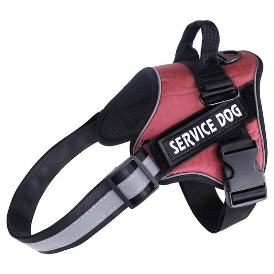 The Pet Leash Chest Harness Is Durable Comfortable And Light - P12 Hub Europe