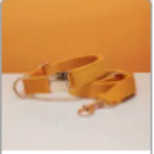 Multiple Colour Velvet Personalise Dog Collar Leash Set With Bow - P12 Hub Europe