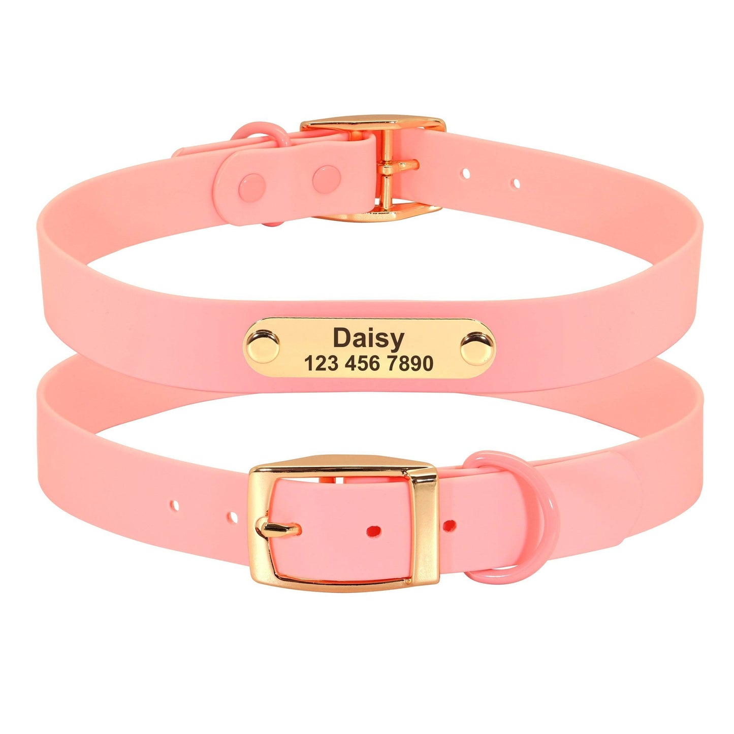 Collar Leash Medium Dog Teddy - P12 Hub Europe
