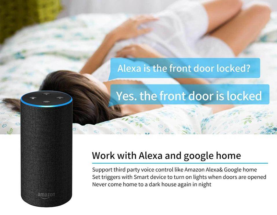 Sensor Door Tuya Zigbee WiFi Smart - P12 Hub Europe