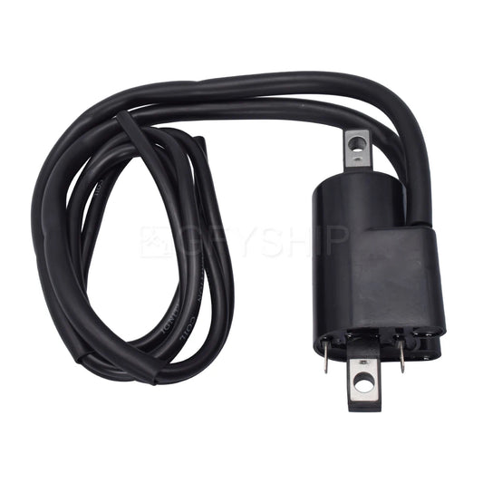 For Ski-doo OEM Number 410911800 410913500 410915000 512059968 Motorcycle Ignition Coil 12V External CDI