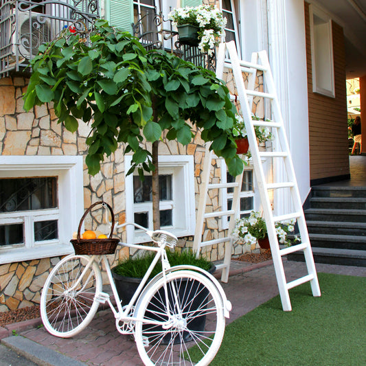 Home, Décor & Garden - Turnkey Online Store
