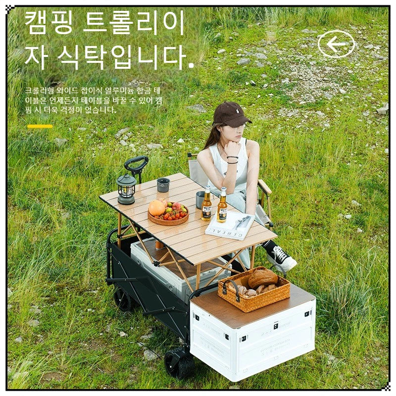 Universal Outdoor Camping Trolley Stall Folding Trolley Outdoor Stall Cart Folding Cart Express Trolley Pulling Cart New
