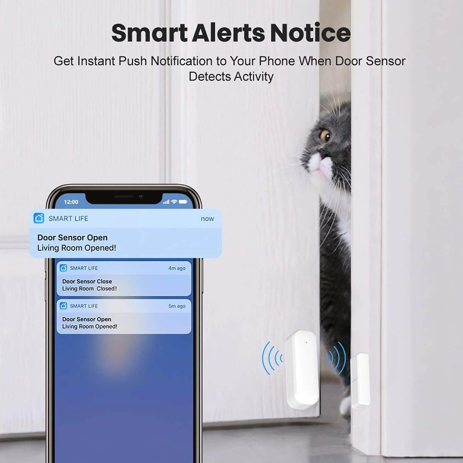 Sensor Door Tuya WiFi Smart Life - P12 Hub Europe