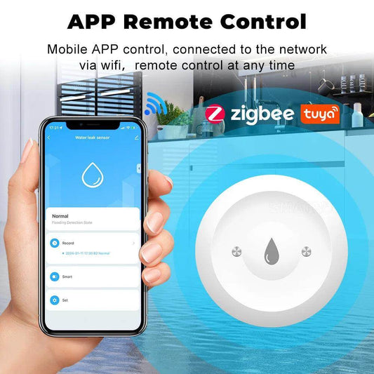 Water Sensor | Flood Alert, Home Assistant - P12 Hub Europe
