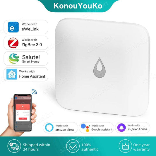 Water Leak Sensor, EWelink | Remote Flood Alarm - P12 Hub Europe