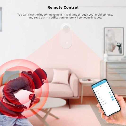 WiFi PIR Motion Sensor, Smart Burglar Alarm | Alexa & Google Home - P12 Hub Europe