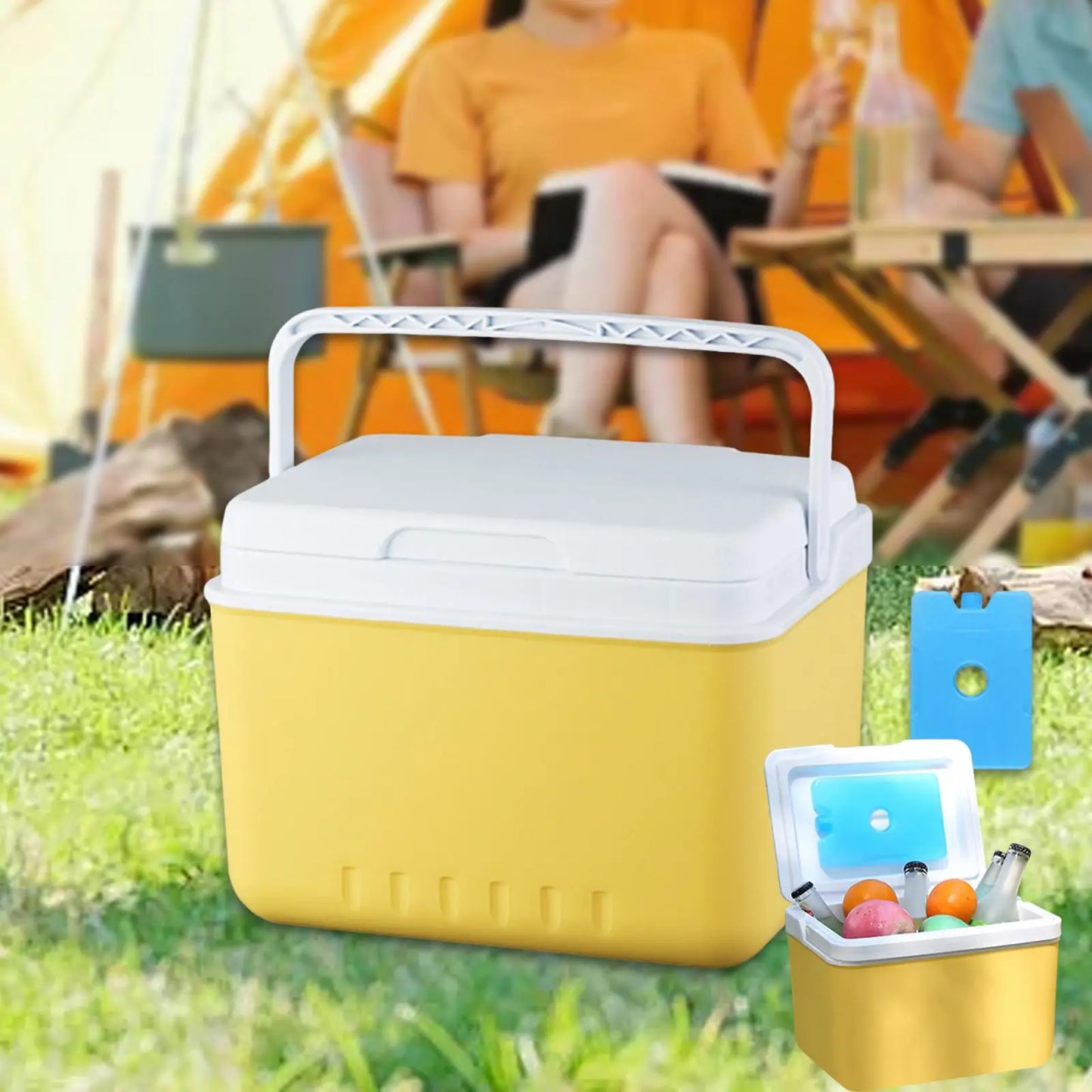 Insulated Cooler Hard Bucket with Handle Organizer for Picnic Beach Barbecue