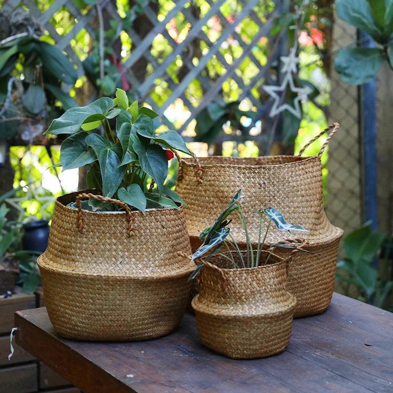 Zerolife Multi-Purpose Wicker Basket - P12 Hub Europe