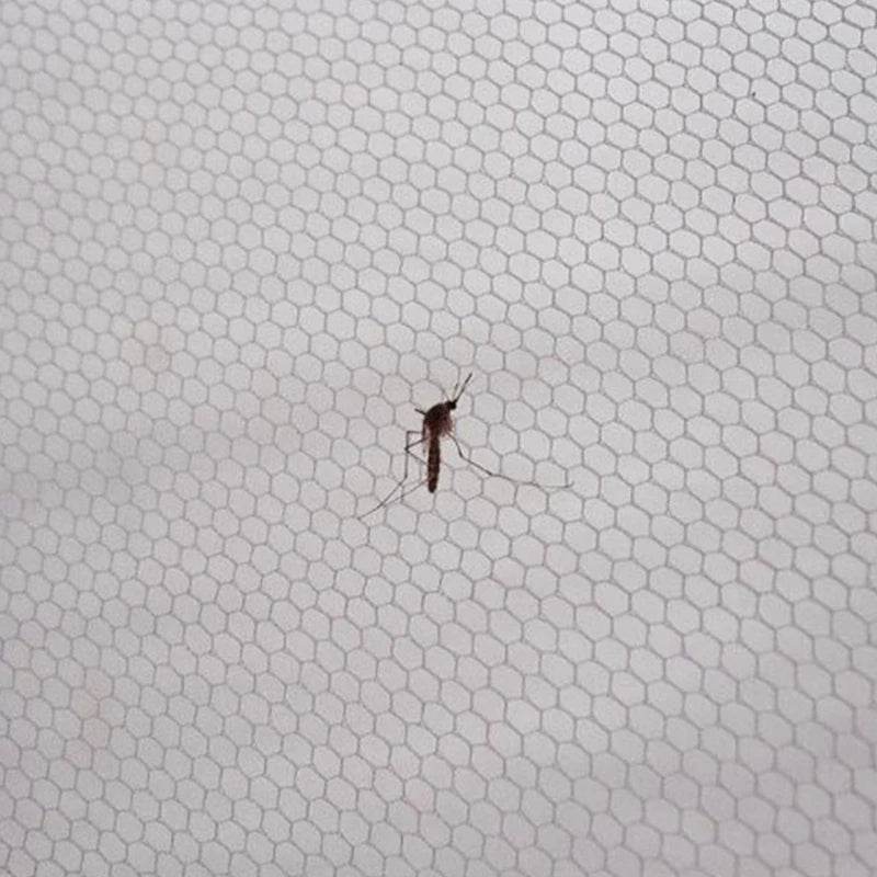 Simple Anti Mosquito No Need To Punch Holes Mosquito Net Window Self-adhesive Type Anti-mosquito Screens Home Textile Garden - P12 Hub Europe