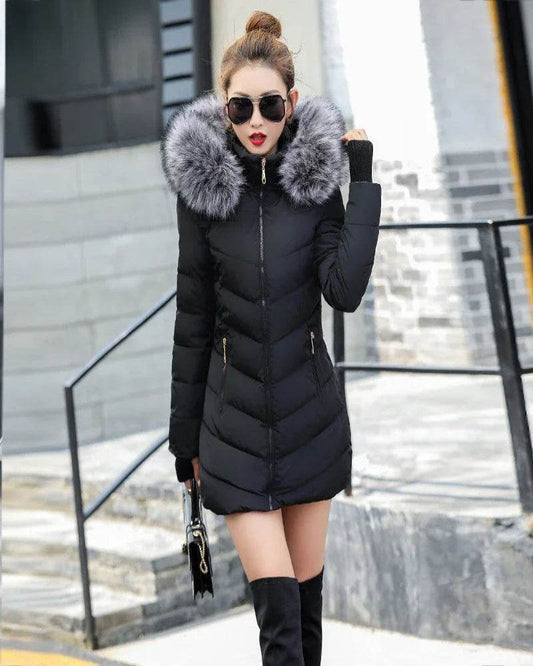 New Slim Warm Winter Parka - P12 Hub Europe