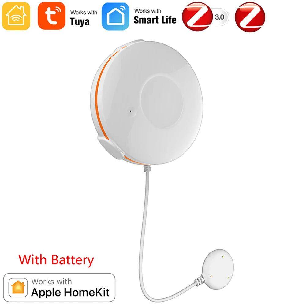 HomeKit Zigbee Gateway Hub | Ethernet, Tuya, Alexa, Google - P12 Hub Europe