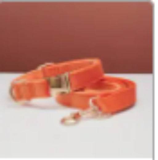 Multiple Colour Velvet Personalise Dog Collar Leash Set With Bow - P12 Hub Europe