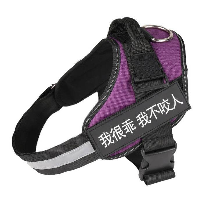 Leashing Chain Rope Dog Chain Pet Supplies - P12 Hub Europe