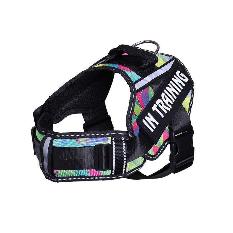 Reflective Dog Leash For Chest Harness Customization - P12 Hub Europe