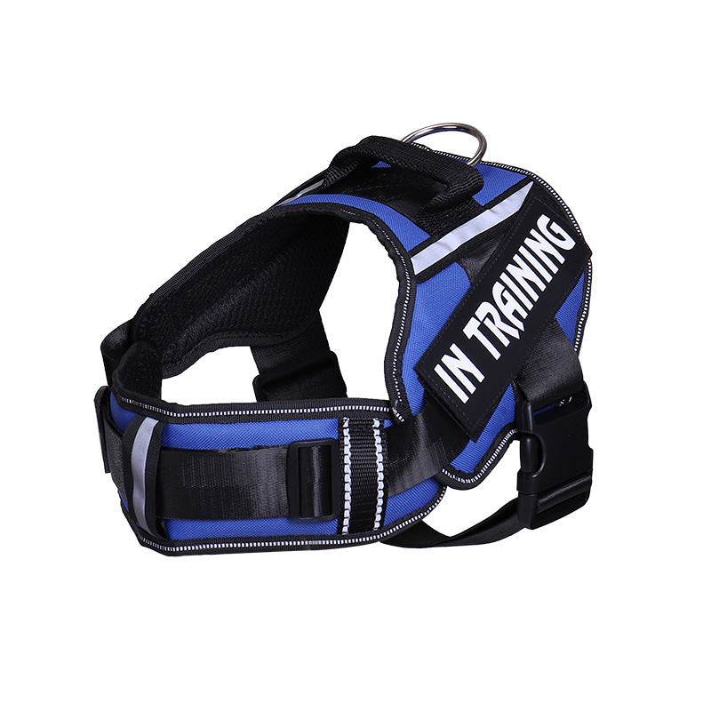 Reflective Dog Leash For Chest Harness Customization - P12 Hub Europe