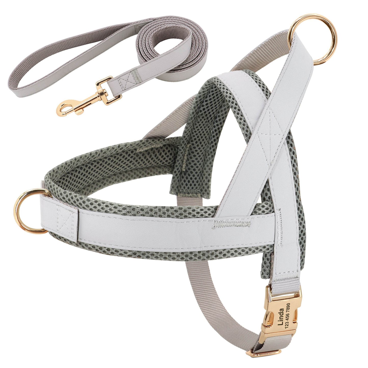 Personalized Dog Harness Leash Set - P12 Hub Europe