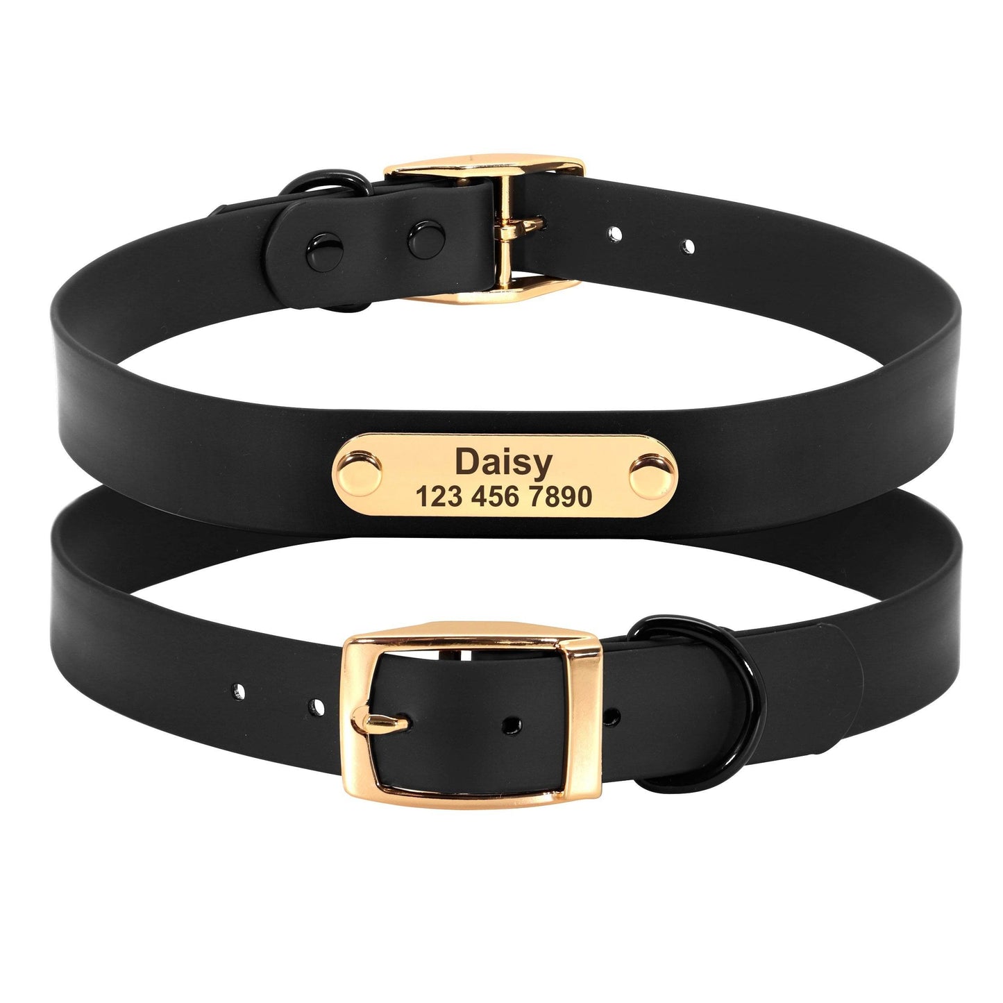 Collar Leash Medium Dog Teddy - P12 Hub Europe