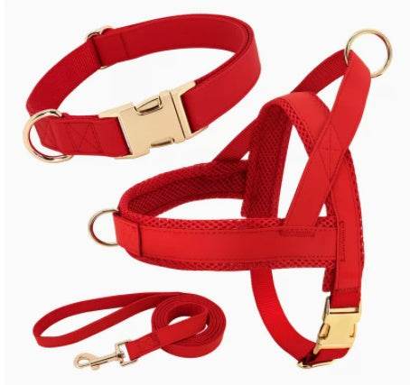Personalized Dog Harness Leash Set - P12 Hub Europe