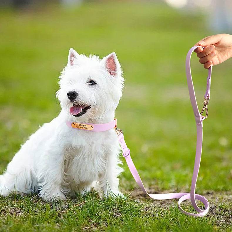 Collar Leash Medium Dog Teddy - P12 Hub Europe