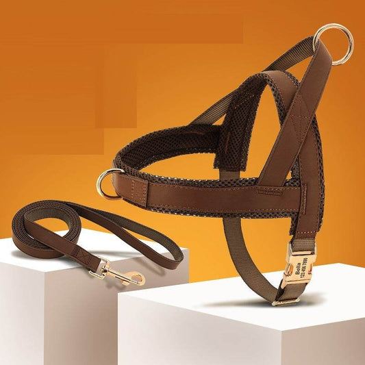 Lettering Large Dog Vest Chest Harness - P12 Hub Europe