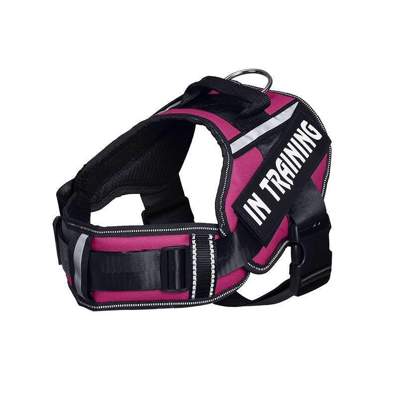 Reflective Dog Leash For Chest Harness Customization - P12 Hub Europe