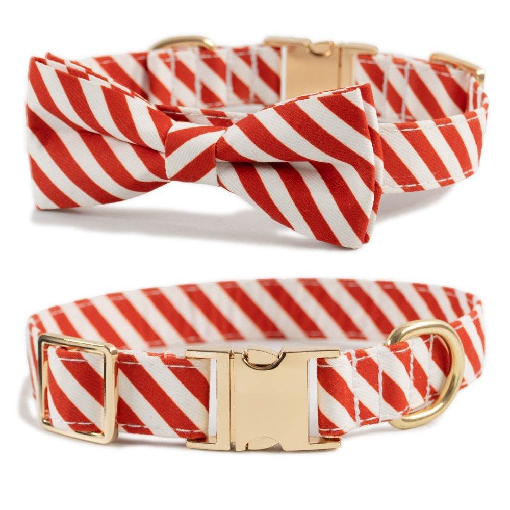 Dog Collar Lettering Collar Anti-lost Collar - P12 Hub Europe
