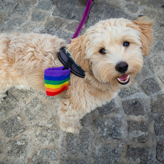 Pet  - Turnkey Online Store
